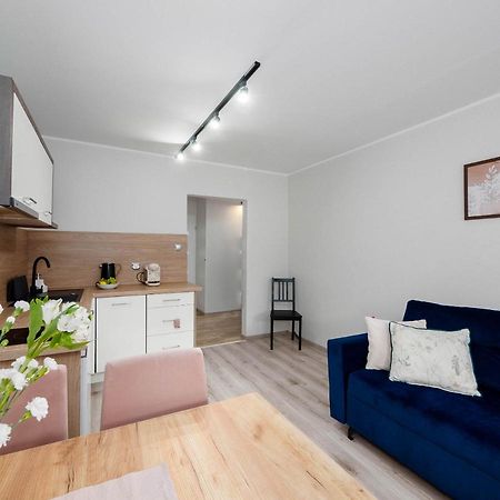 Best Choice 2-Bedroom Apartment Плоцьк Екстер'єр фото