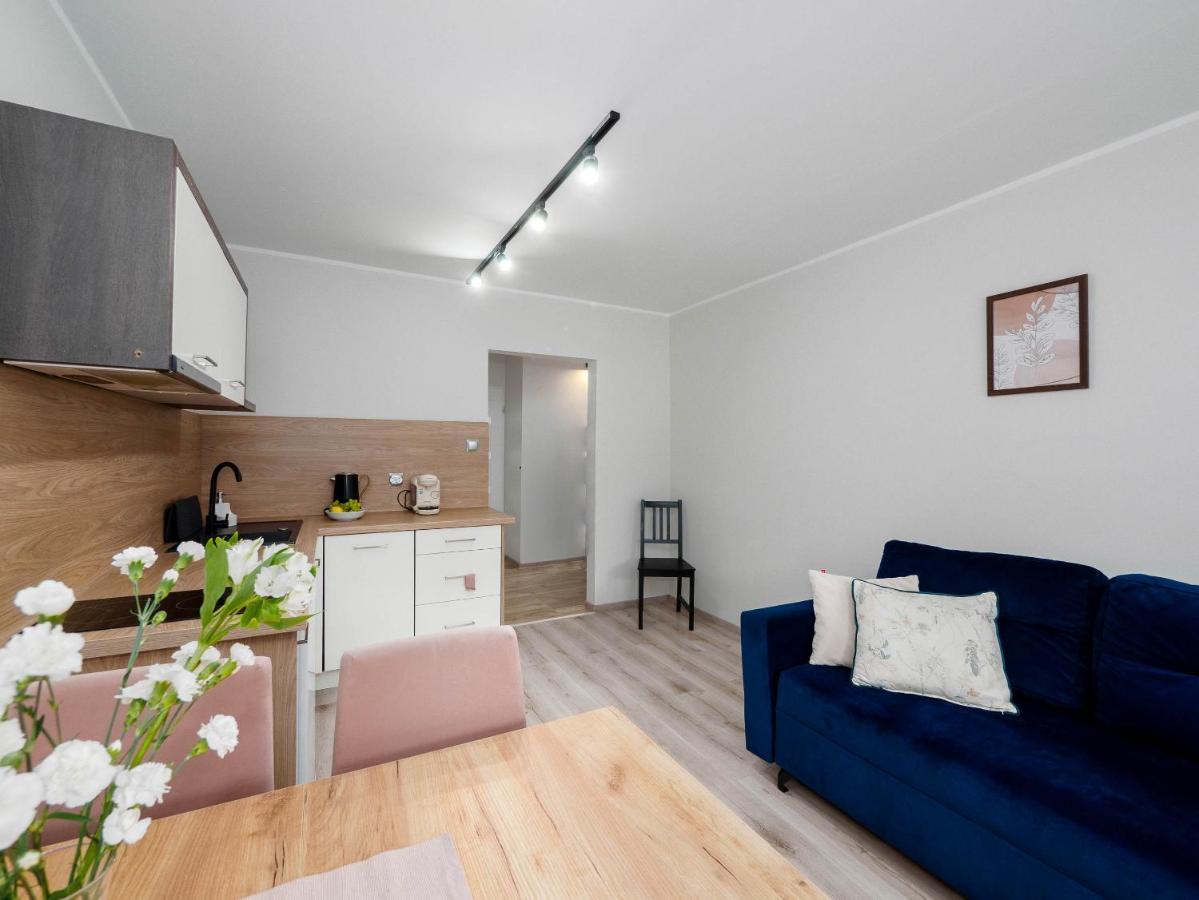 Best Choice 2-Bedroom Apartment Плоцьк Екстер'єр фото